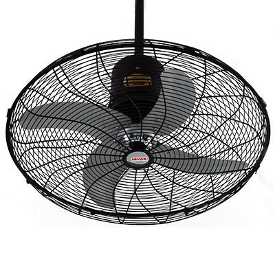 Royal Deluxe Circo Fan
